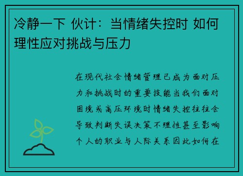 冷静一下 伙计：当情绪失控时 如何理性应对挑战与压力